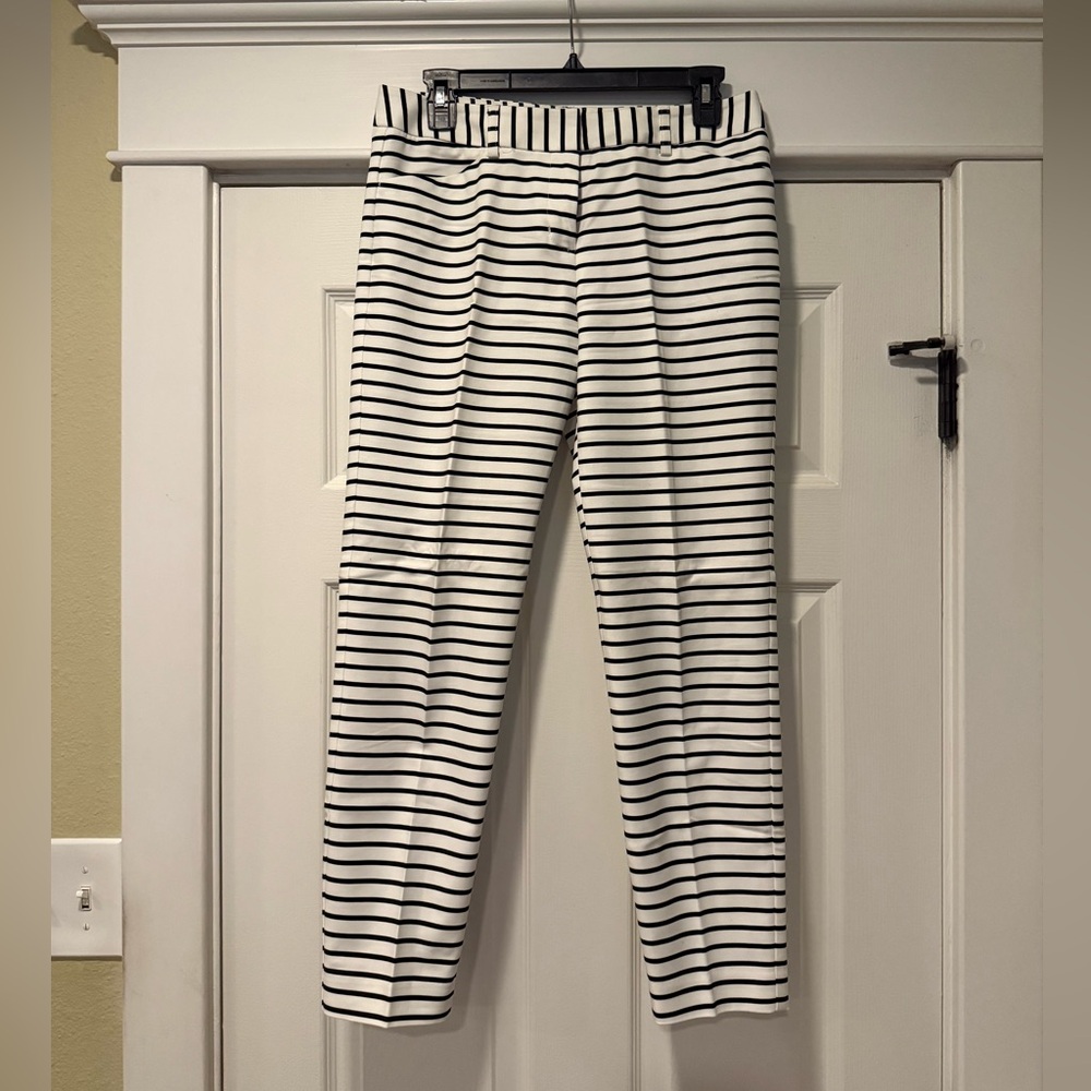 Express Editor Pant